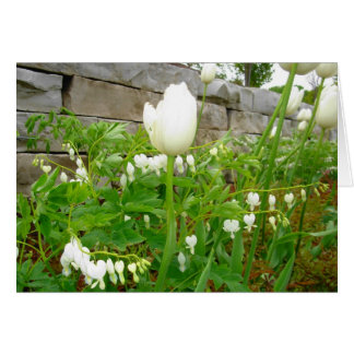 White Tulips Cards
