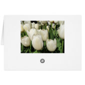 white tulips cards (Back Horizontal)
