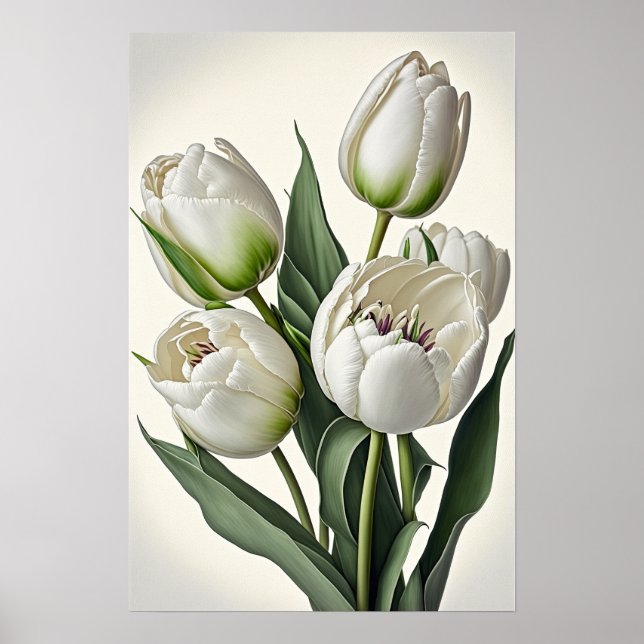 White Tulips Flower Art Print Poster (Front)