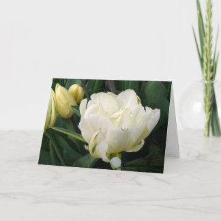 White Tulips Greeting Card
