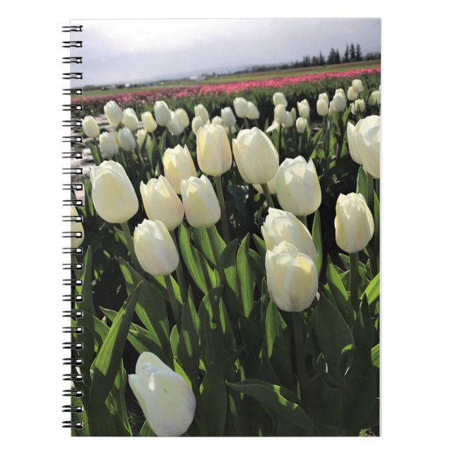 White Tulips in a Field, Oregon Notebook (Front)