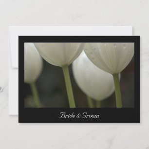 White Tulips Marriage / Elopement Announcement