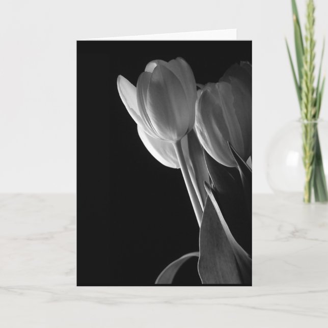 White Tulips Photo On Black Background Card (Front)