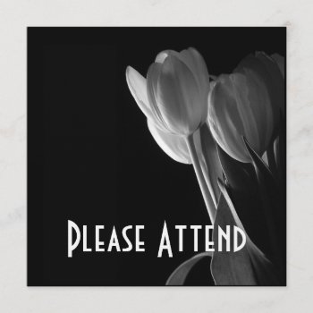 White Tulips Photo On Black Background Invitation by VoXeeD at Zazzle