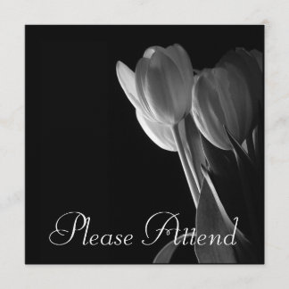 White Tulips Photo On Black Background Invitation