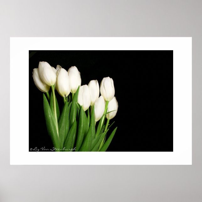White Tulips Print (Front)