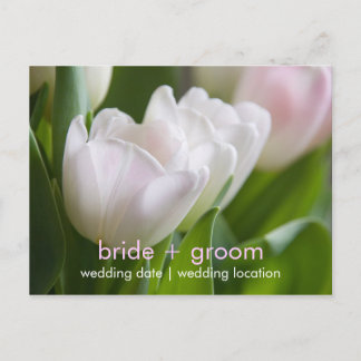 White Tulips • Save the Date Postcard