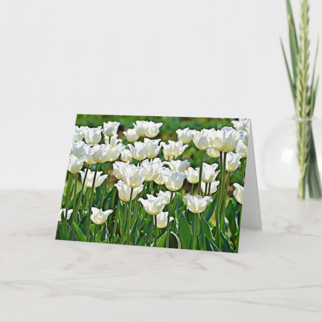 White Tulips Scripture Card John 1:16 (Front)