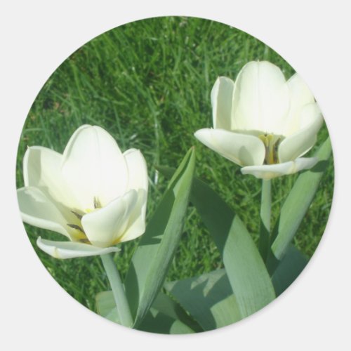 White Tulips Stickers