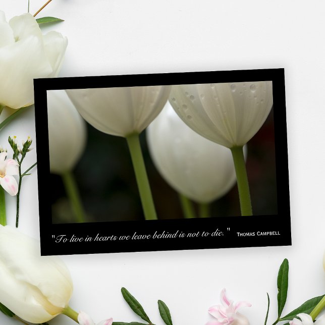 White Tulips Thank You for Your Sympathy Card (Creator Uploaded)