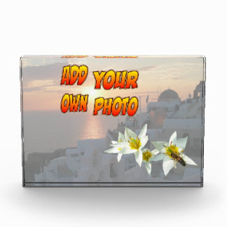 White Tulips with Bee Photo Block