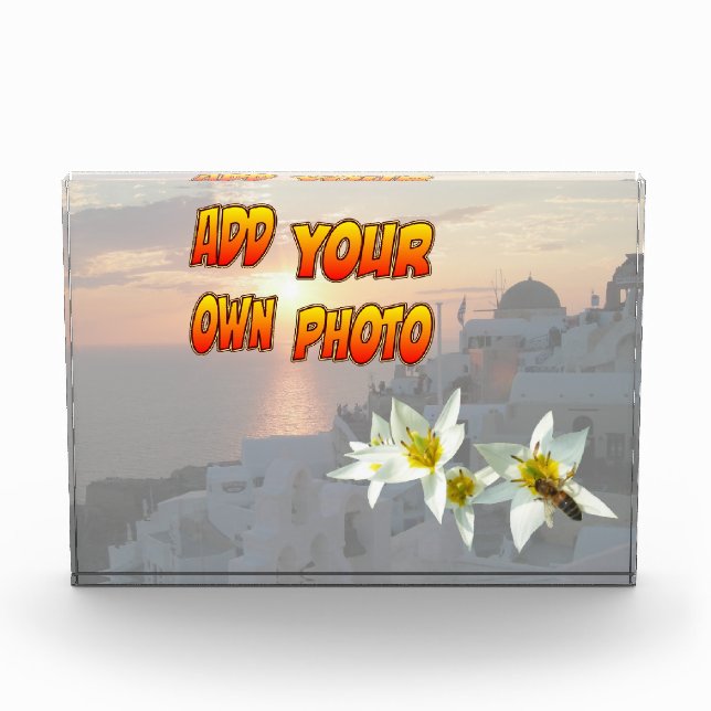 White Tulips with Bee Photo Block (Front)