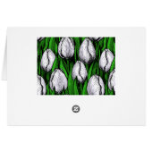 White tulips with green leaves (Back Horizontal)
