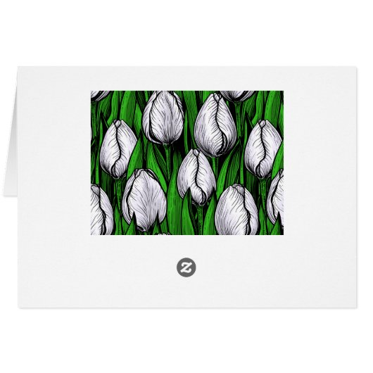 White tulips with green leaves (Back Horizontal)