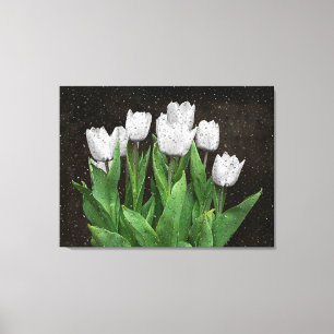 White Tulips with Raindrops on Glass Canvas Print