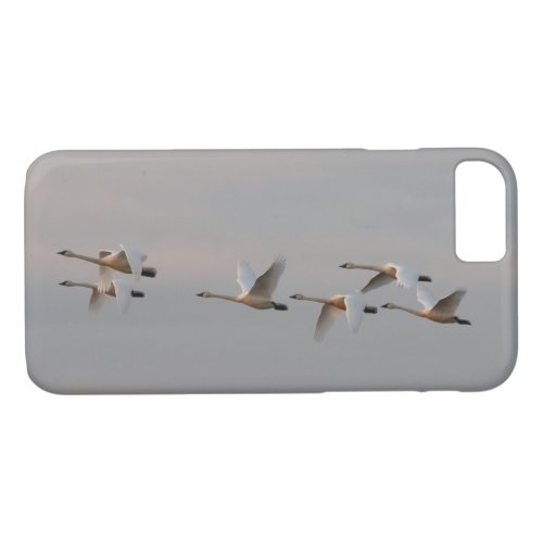 White Tundra Swans in Flight Photo iPhone 87 Case