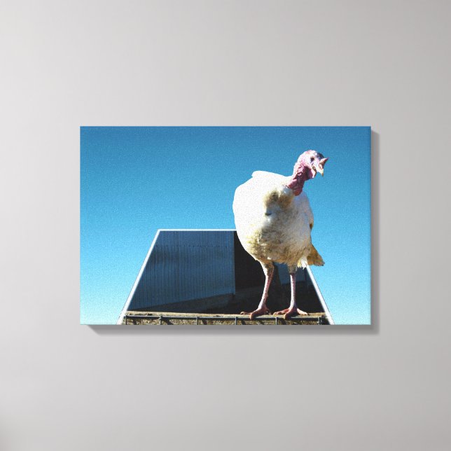 White Turkey Dimensional Popout Art, Canvas Print (Front)