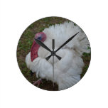 White Turkey Round Clock