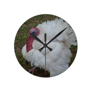 White Turkey Round Clock
