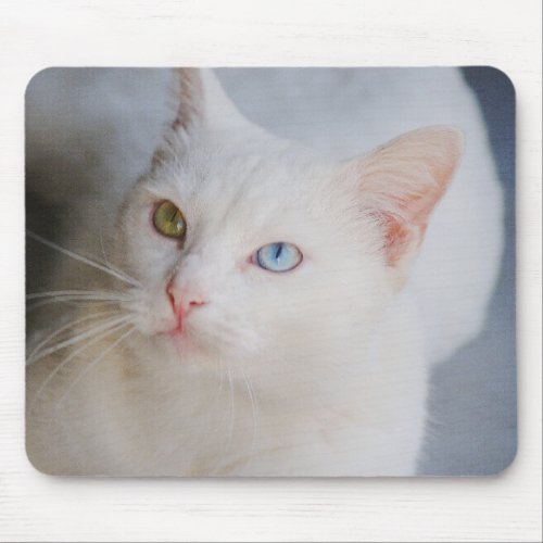 White Van cat with one green eye  one blue eye Mouse Pad