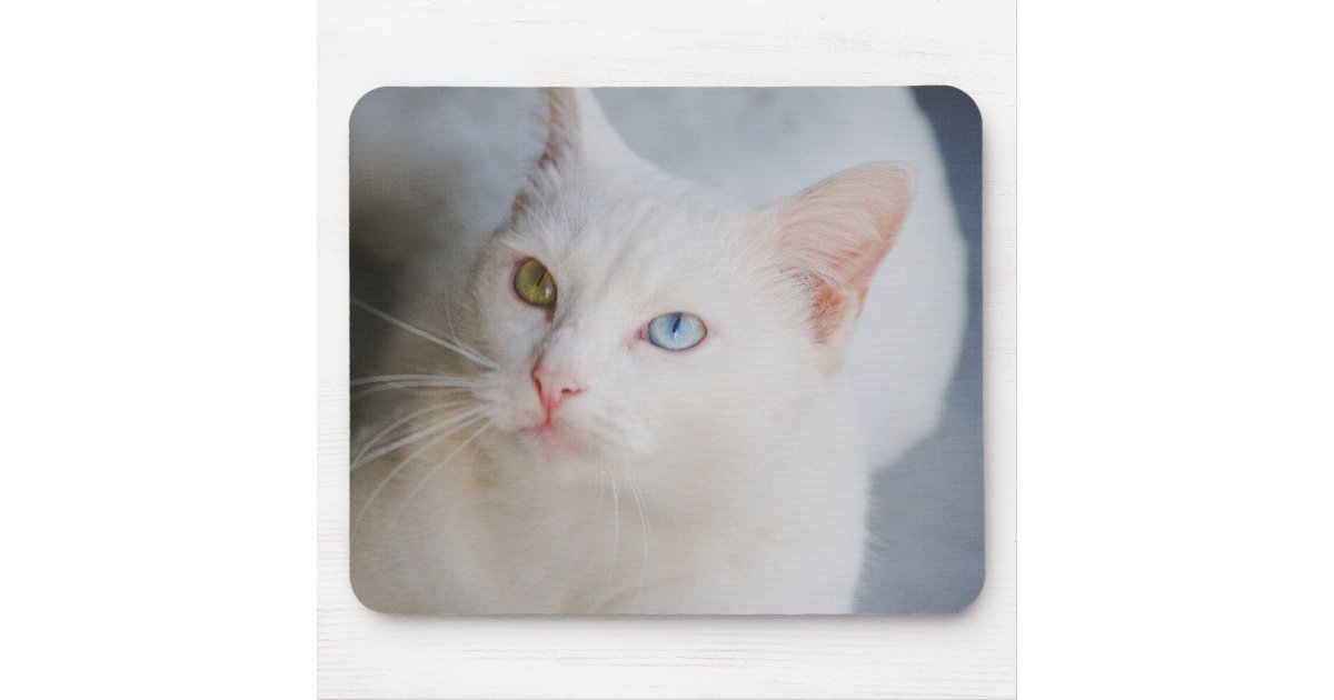 White Van Cat With One Green Eye One Blue Eye Mouse Pad Zazzle Com