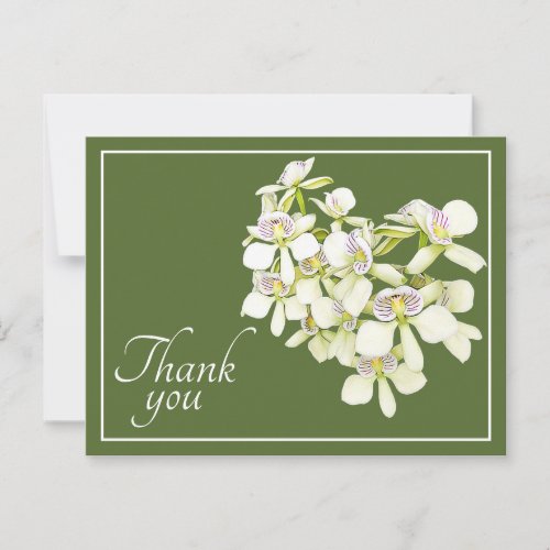 White Veined Orchids Green Background Thank You Postcard