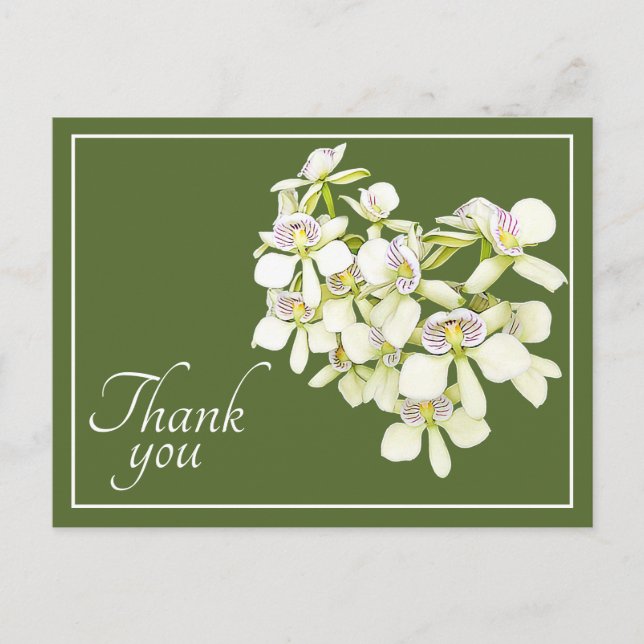 White Veined Orchids Green Background Thank You Postcard (Front)