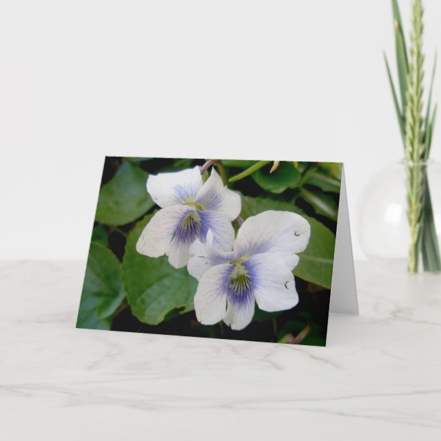White Violet Pair Note Card (Front)