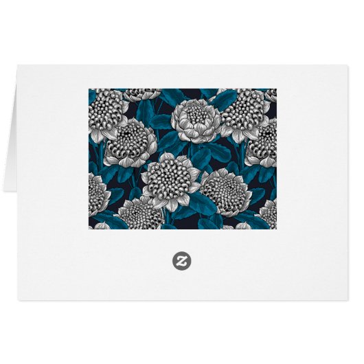 White waratah flowers (Back Horizontal)