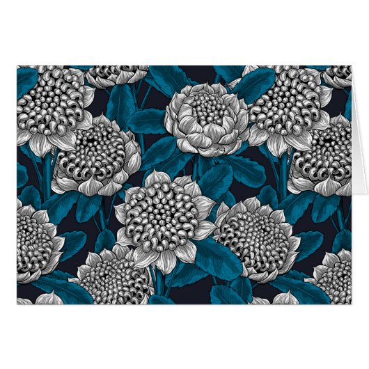 White waratah flowers (Front Horizontal)