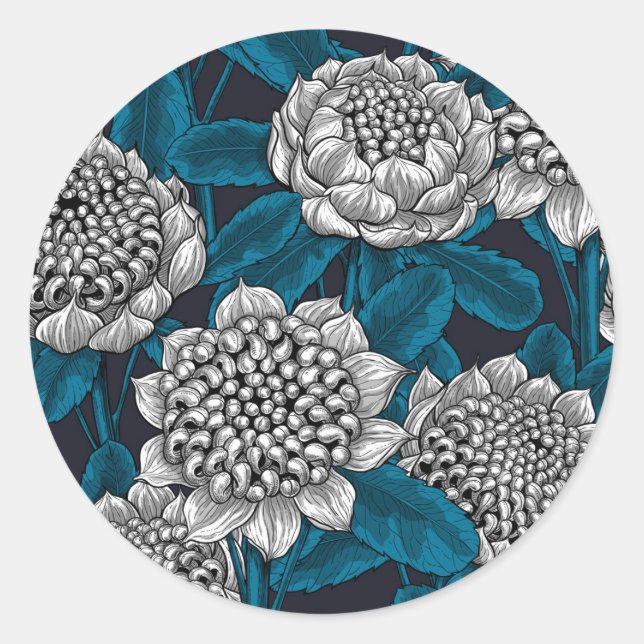 White waratah flowers classic round sticker (Front)