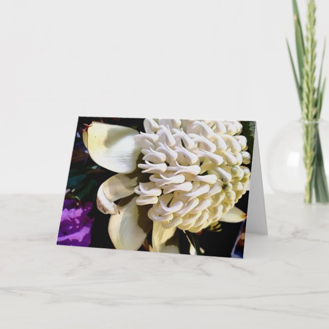 white warratah holiday card (Front)