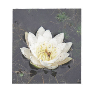 White water lily notepad