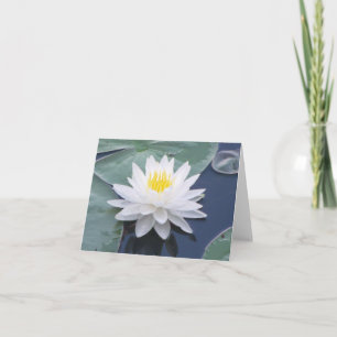 White Water Lily Photo Folded Note Card