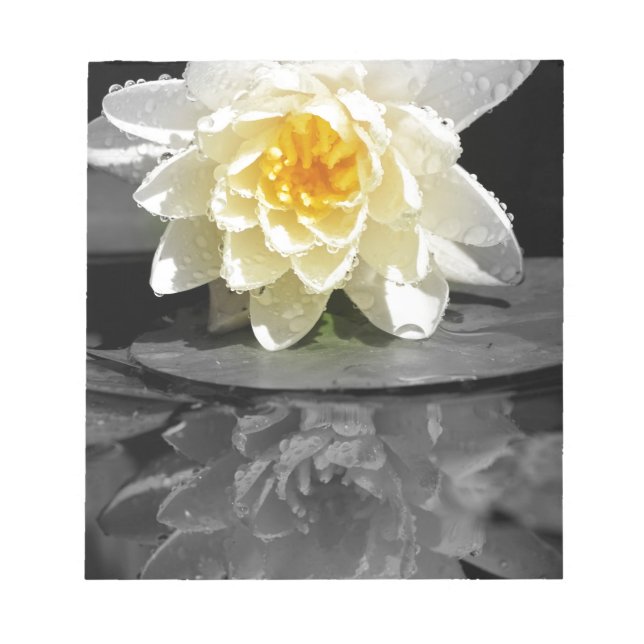 White Water Lily Photograph Notepad (Front)