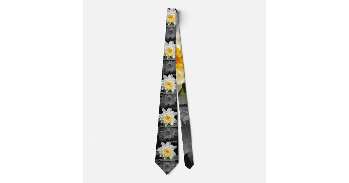 Vintage Trout Flies Fly Fishing Theme Pattern Neck Tie