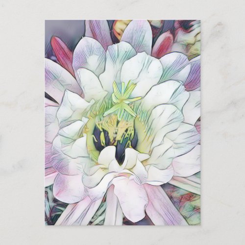 White Water Lily  Postcard