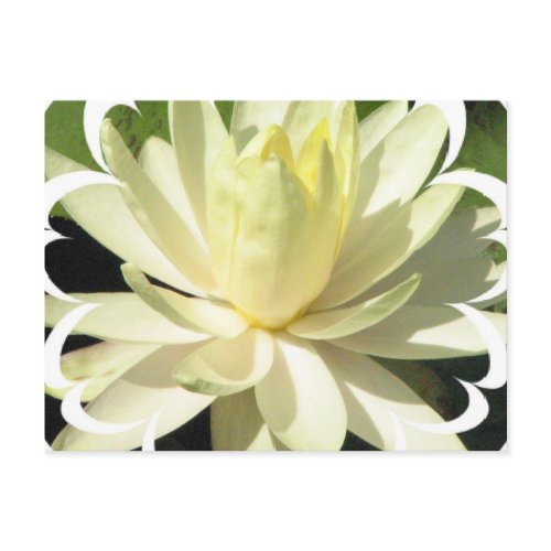 White Water Lily Postcard