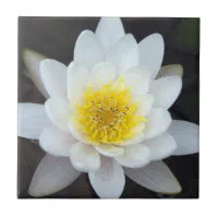 White Water Lilies selling Ceramic Tile Set