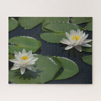 White Waterlilies Jigsaw Puzzle
