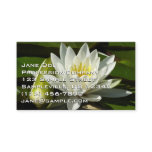 White Waterlily and Bud Floral Business Card