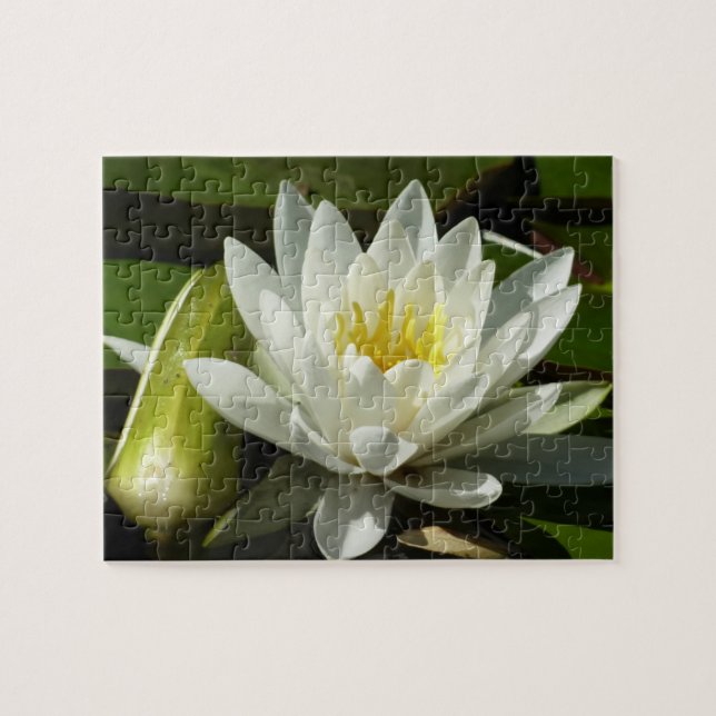 White Waterlily and Bud Floral Jigsaw Puzzle (Horizontal)