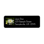 White Waterlily and Bud Floral Label