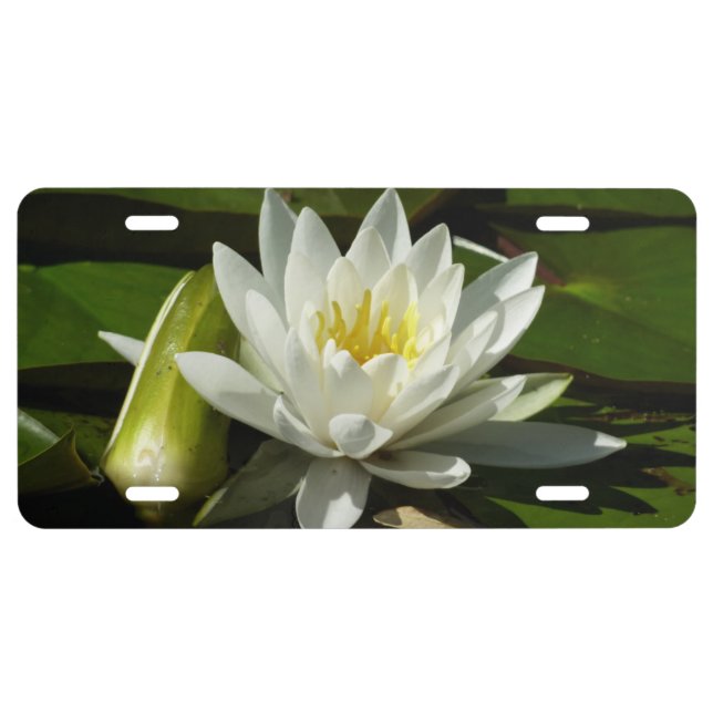 White Waterlily and Bud Floral License Plate (Front)