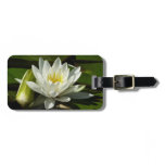 White Waterlily and Bud Floral Luggage Tag