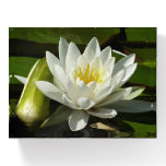 White Waterlily and Bud Floral Paperweight