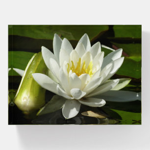 White Waterlily and Bud Floral Paperweight