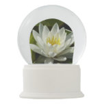 White Waterlily and Bud Floral Snow Globe