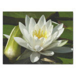 White Waterlily and Bud Floral Tissue Paper