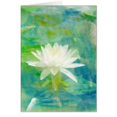White Waterlily Blossom (Front)